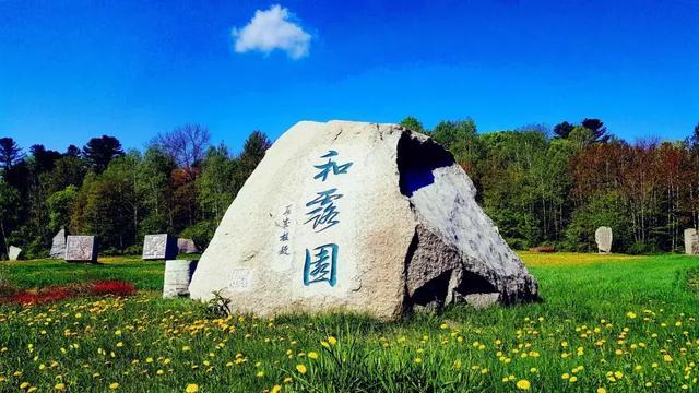 haha体育平台在线